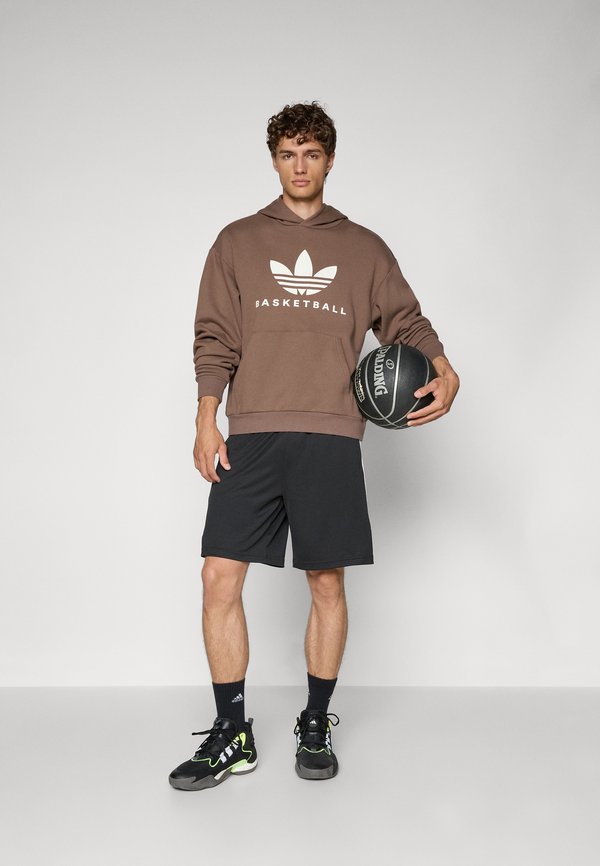 HOODIE - Hoodie - earth strata4