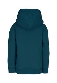 Felpa con cappuccio di colore verde acqua con una texture morbida, polsini e orlo a coste. Presenta una tasca a marsupio e un cappuccio arrotondato. Vista posteriore mostrata.