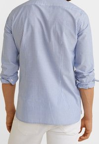 Camicia a righe blu e bianche con maniche lunghe, colletto a bottone e polsini arrotolati, realizzata in tessuto leggero. Vista posteriore mostrata.