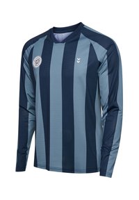 Langärmeliges Sporttrikot mit dunkel- und hellblauen vertikalen Streifen, rundem Ausschnitt und kleinem weißen Emblem auf der linken Brust.