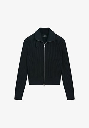 Massimo Dutti, Cardigan - dark blue