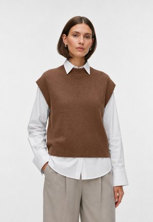 Donna con capelli corti e castani indossa un maglione marrone senza maniche sopra una camicia bianca con colletto e pantaloni grigio chiaro su sfondo semplice.