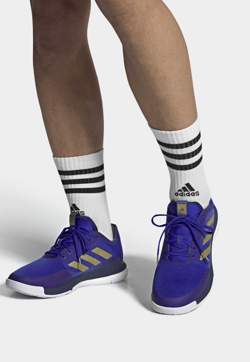 adidas Performance CRAZYFLIGHT Volleyball shoes lucid blue matte