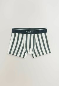 Next 5 PACK - Panties - green dino stripe