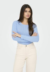JDY JDYSALSA MIA LIFE O NECK - Pikkade varrukatega topp - serenity