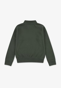 Abercrombie & Fitch ESSENTIAL - Sweatshirt - thyme