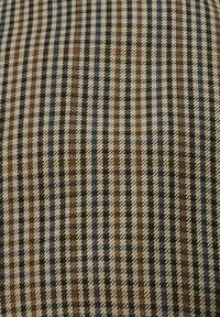 Woven fabric featuring a checkered pattern with brown, blue, and cream stripes. Texture appears textured and structured.