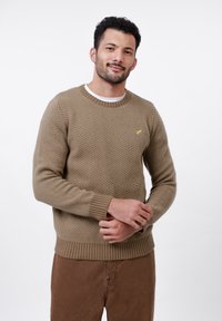Beige knit sweater featuring a herringbone pattern, round neckline, and ribbed cuffs and hem, worn over a white shirt.
