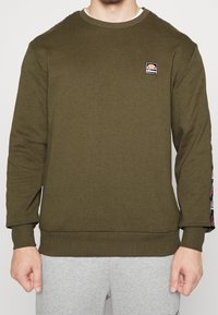 Felpa verde oliva con maniche lunghe, polsini a coste e scollo rotondo. Presenta una piccola toppa con logo e un design colorato sulla spalla.