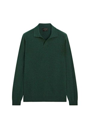Groene gebreide trui met een V-hals, lange mouwen en een relaxte pasvorm. Zachte textuur, geen zichtbare patronen of hardwaredetails.