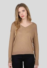 Pull-over à col en V et manches longues, couleur marron clair, fabriqué en tricot doux. Présente une coupe décontractée avec des poignets et un ourlet côtelés, porté avec un pantalon sombre.