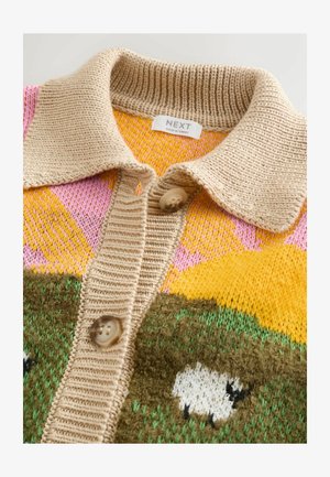 Daudzkrāsains adīts džemperis ar bēša krāsas apkakli, oranžiem, rozā un dzelteniem rakstiem, zaļu apakšdaļu ar aitu motīvu un pogu aizdari.