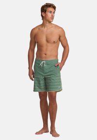 Zelené pruhované plavky s elastickým pásom na šnúrku, s malým logom na nohe a hladkou štruktúrou.