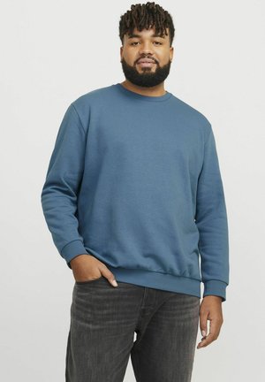 Jack & Jones EBRADLEY CREW PLS - Sportinis megztinis - oceanview