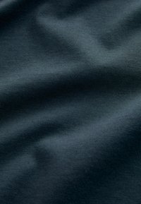 Next 4 PACK REGULAR - Paprasti marškinėliai - blue light grey brown green