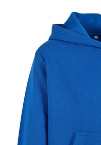 Blå bomullshuvtröja med en framficka, ribbade muddar och ett dragsko i huvan. Slät textur och en solid färg utan synliga mönster.