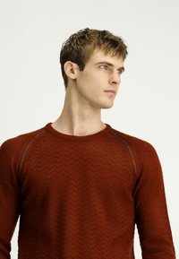 Rdzawy sweter z teksturowanym wzorem w zygzak. Posiada okrągły dekolt oraz kontrastowe niebieskie wykończenie na ramionach.