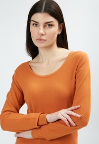 Burnt-Orange Pullover mit langen Ärmeln, weitem Halsausschnitt und gerippten Bündchen. Weicher Stoff, taillierte Passform, minimale Verzierungen.