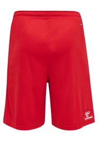 Pantalones cortos deportivos rojos hechos de una tela suave y ligera con una cinturilla elástica. Presenta un pequeño logo blanco en la esquina inferior derecha.