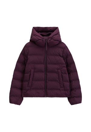 Marc O'Polo DENIM, WOVEN OUTDOOR JACKETS, HEATSEALED PUFFER - Winterjacke - mahagony jam