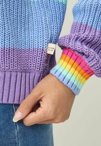 Pull en tricot présentant des nuances de bleu et de violet avec un poignet à rayures multicolores et une petite étiquette "Petit Oiseau" sur le côté.