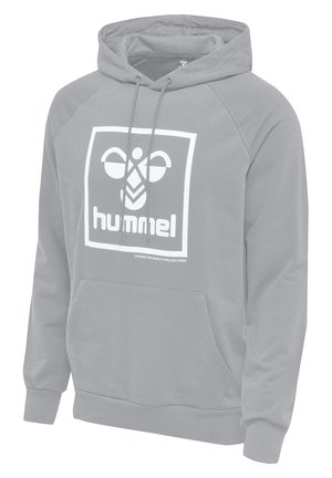 Grijze hoodie met een voorste kangaroo-zak, wit logo op de borst en contrasterende raglanmouwen. Zachte katoenmix.