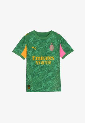 Zelená brankářská dres s texturovaným vzorem vírů. Obsahuje akcenty v oranžové, růžové a žluté. Logo a text sponzora v kontrastních barvách.