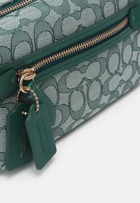 COACH SIGNATURE DEMI BAG - Rankinė - green green