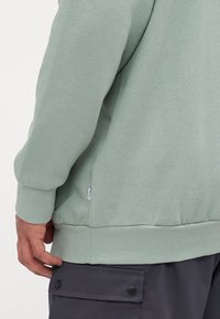 Muntgroene sweatshirt met een ontspannen pasvorm, ribgebreide manchetten en zoom. Het naadloze ontwerp heeft minimale stiksels en een klein label aan de zijkant.
