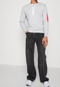 Alpha Industries Sudadera - light grey