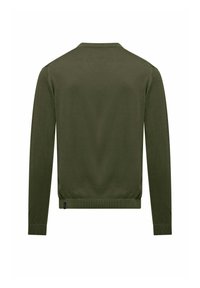 Maglione lavorato a maglia verde oliva con maniche lunghe, polsini e orlo a costine. Texture liscia con un design semplice e minimalista. Vista posteriore mostrata.