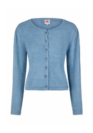 Hellblauer, flauschiger Cardigan mit langen Ärmeln, rundem Ausschnitt und sechs dekorativen Knöpfen vorne, tailliertes Design.