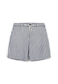 Shorts a righe con strisce verticali blu e bianche, realizzati in tessuto leggero, con vita regolabile tramite cordino e chiusura a bottone.