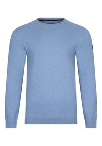 Maglione azzurro chiaro a girocollo, realizzato in tessuto morbido, con maniche lunghe e polsini a costine. Design minimalista senza motivi o decorazioni.