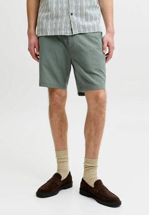 Man met grijze korte broek, beige sokken, bruine loafers en een grijs gestreept kortärmlig shirt, staande op een witte achtergrond.