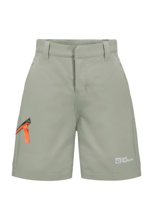 TURBULENCE - Shorts outdoor - mint leaf