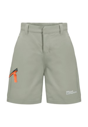 TURBULENCE - Shorts outdoor - mint leaf