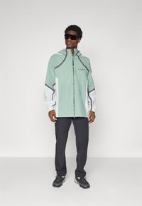 Adidas Terrex NAT GEO RAIN.RDY - Regnjakke - silver green