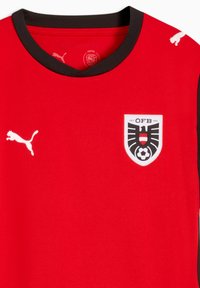 Κόκκινη αθλητική φανέλα με μαύρες λεπτομέρειες. Διαθέτει στρογγυλή λαιμόκοψη, λευκό λογότυπο Puma και κεντητό ασπρόμαυρο έμβλημα στο στήθος.