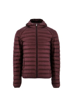 NICO - Gewatteerde jas - rose