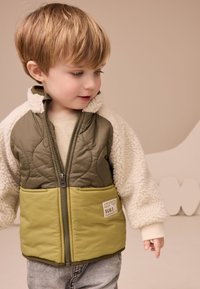 Next REGULAR FIT - COLOURBLOCK - Manteau d'hiver - green borg nylon