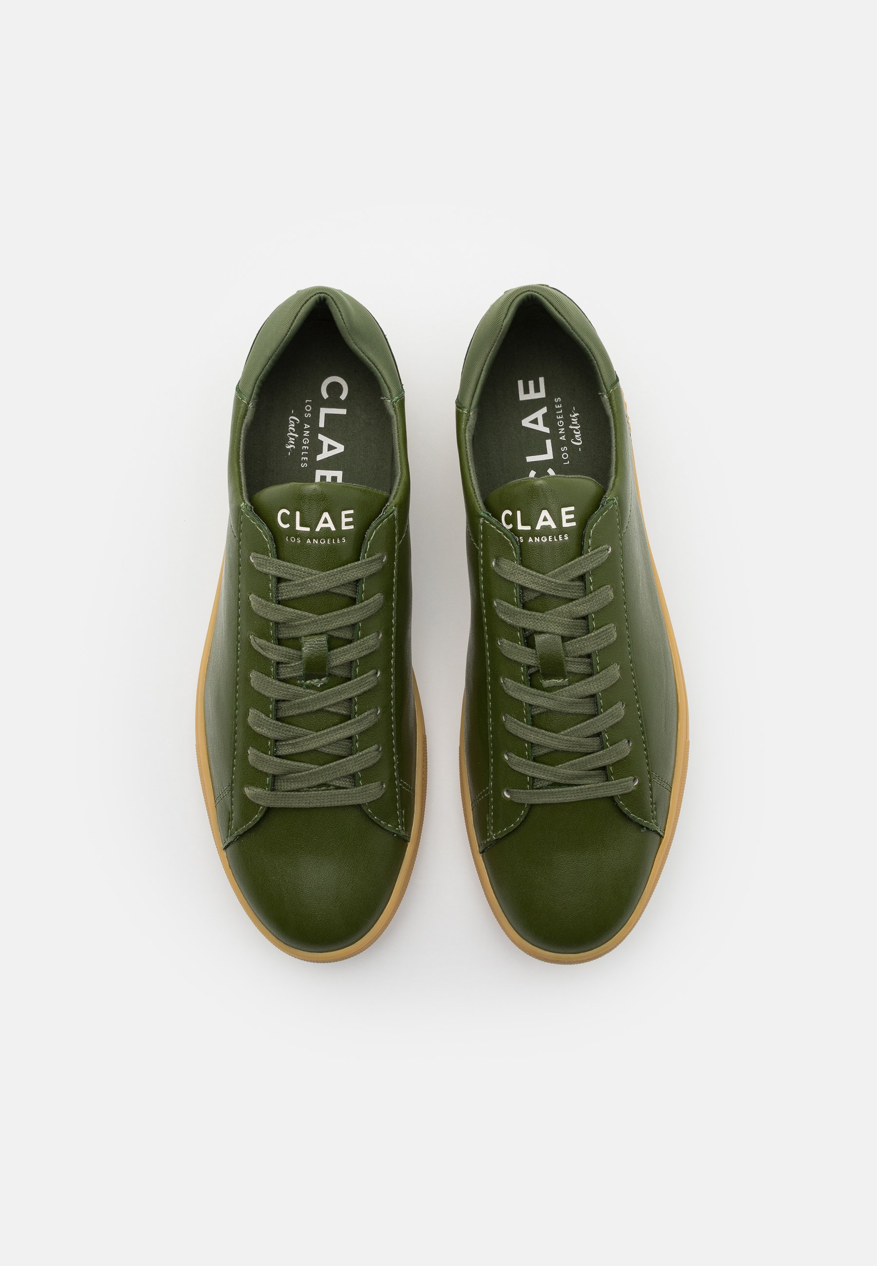 clae cactus