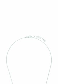 Collana in argento con un design delicato, caratterizzata da un gancio a moschettone e una catena di estensione regolabile per adattare la lunghezza.