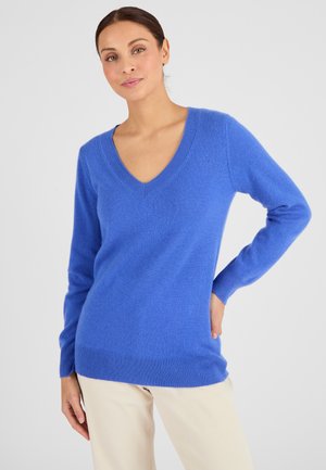 Pull à col en V de couleur bleu vif, fabriqué en tissu doux, avec des manches longues et des bords côtelés aux poignets et à l'ourlet. Porté par-dessus un pantalon clair.