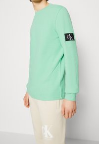 Mintgrüner Langarm-Pullover aus strukturiertem Stoff mit gerippten Bündchen. Mit einem schwarzen Logo-Patch am linken Ärmel. Kombiniert mit hellen Hosen.