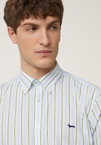Gestreepte shirt in lichtblauw en wit met groene accenten. Button-down kraag, twee knopen zichtbaar, met een geborduurd hondenlogo op de borst.
