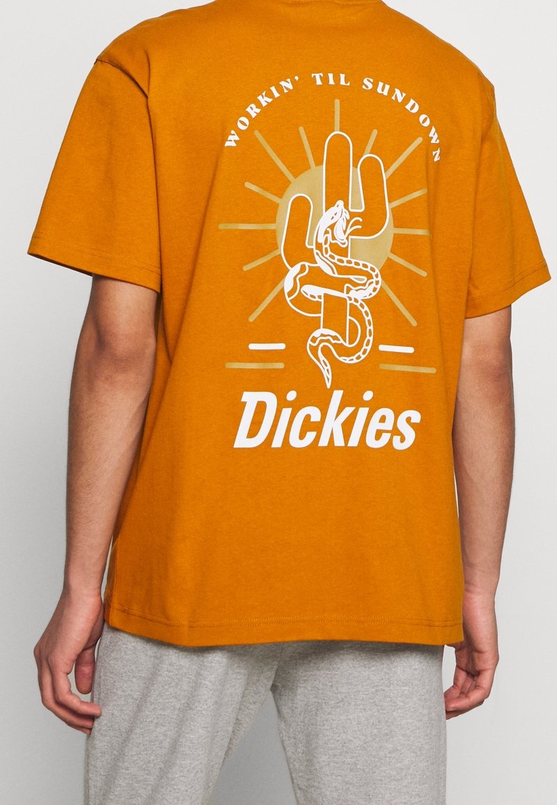Short-sleeve, orange cotton t-shirt featuring a graphic print on the back with a cactus, snake, and the word "Dickies" in white.