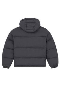 Dickies ALATNA - Giacca invernale - black