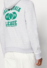 Vista posteriore di una persona che indossa un hoodie grigio chiaro con il testo e la grafica "California League 1774 College Championship" in verde.
