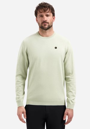 Lichtgroene trui, ronde hals, lange mouwen, geribde manchetten, met een klein zwart-geel zeshoekig logo op de borst.